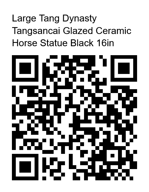 PayPal QR