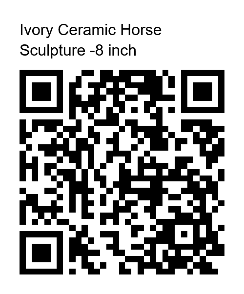 PayPal QR