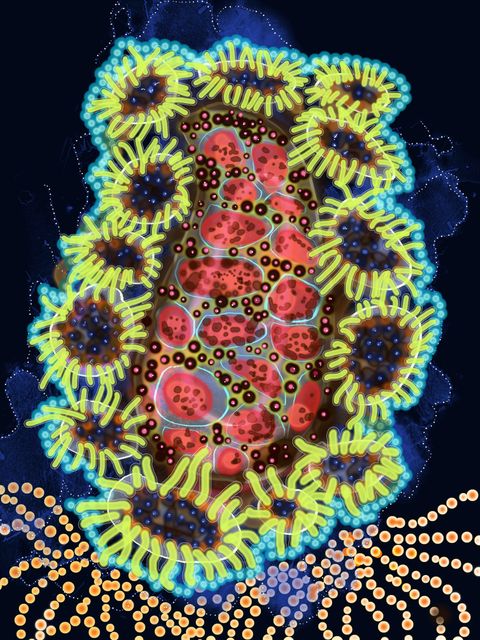 Cell Mandala